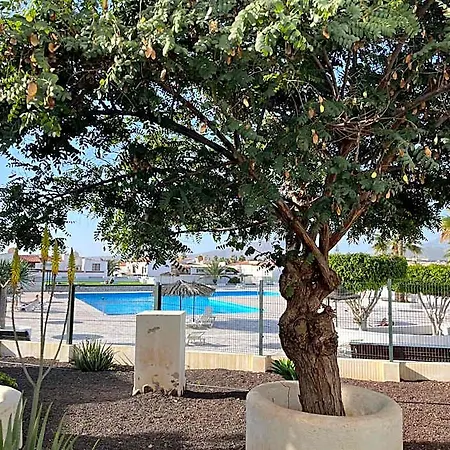 Hotel Casa Guay Welcome To Your In The Sun!